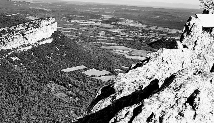 pick saint loup-crop