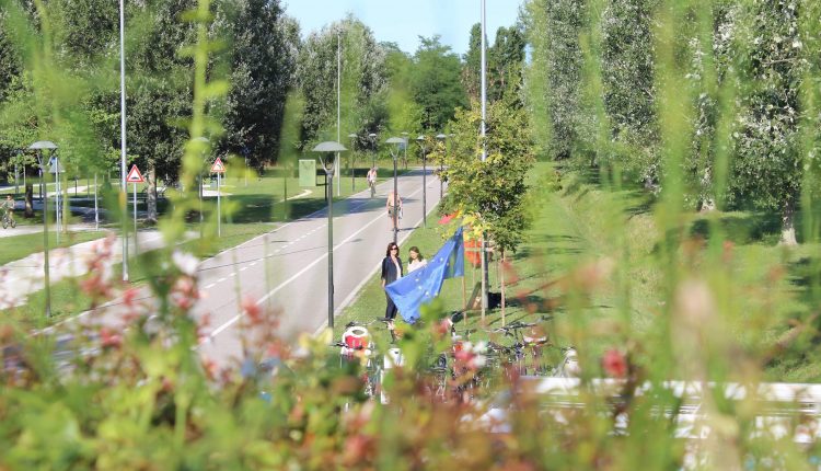 66856565_373632583297950_5142241576155611136_n