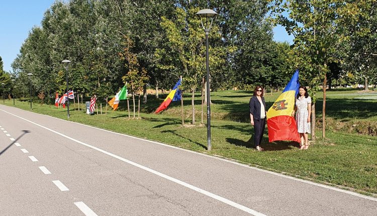 aleea diasporei azi1