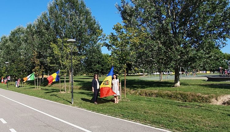 aleea diasporei azi2