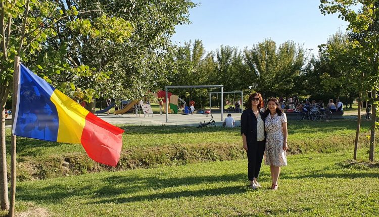 aleea diasporei azi3