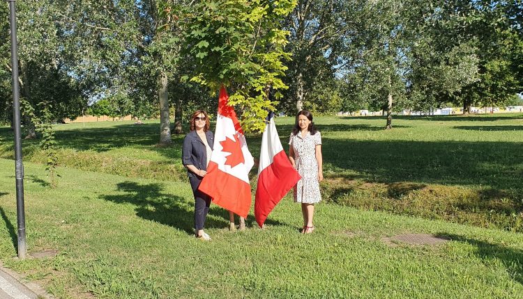 aleea diasporei azi4