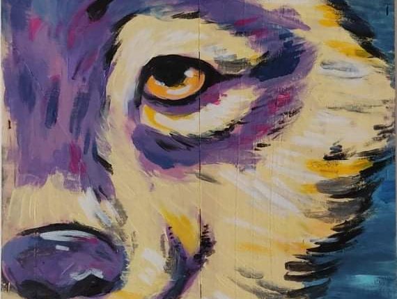 WhatsApp Image 2020-09-23 at 17.12.57