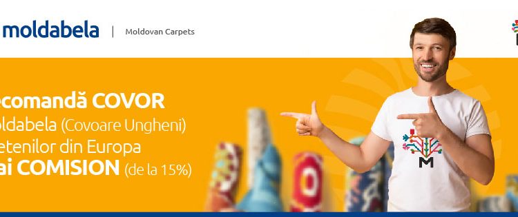 Landing-Diaspora_Banner-1300×315
