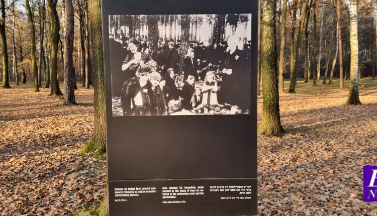 auschwitz33